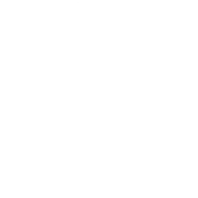 Meisterwerk ist zertifizierter Digital Marketing Associate