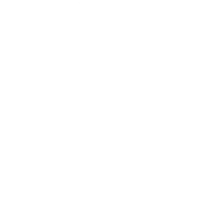 Meisterwerk ist zertifizierter Media Buying Professional