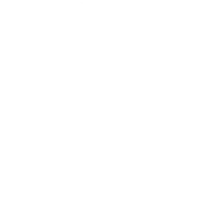 Meisterwerk ist zertifizierter Media Planning Professional